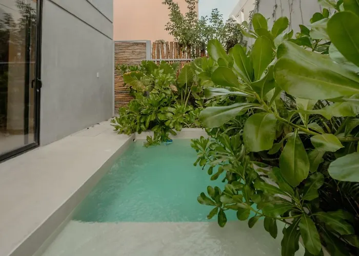 Pools Privadas Rooftop Selva Tulum