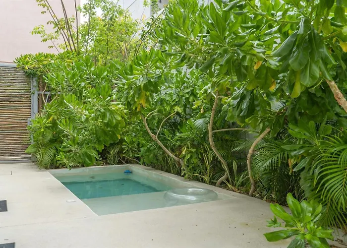 Pousada Pools Privadas Rooftop Selva Tulum