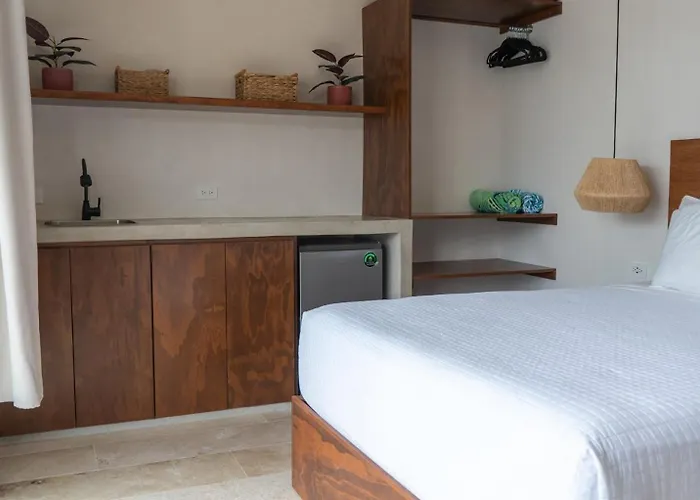 Pousada Pools Privadas Rooftop Selva Tulum