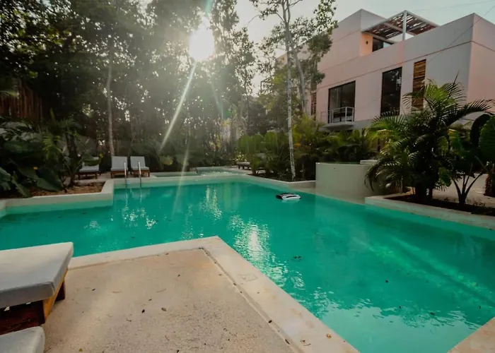 Pools Privadas Rooftop Selva