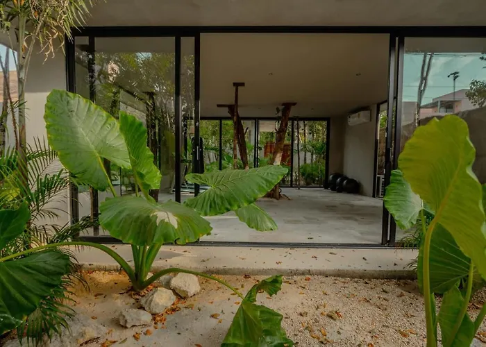 Pools Privadas Rooftop Selva Pousada