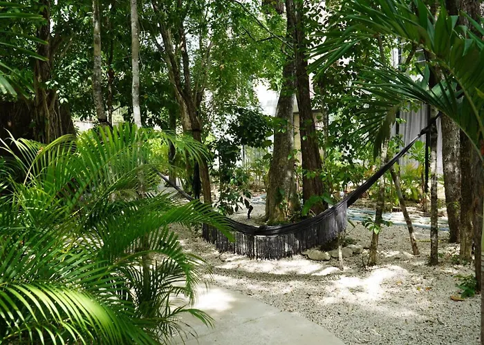 Pools Privadas Rooftop Selva *
