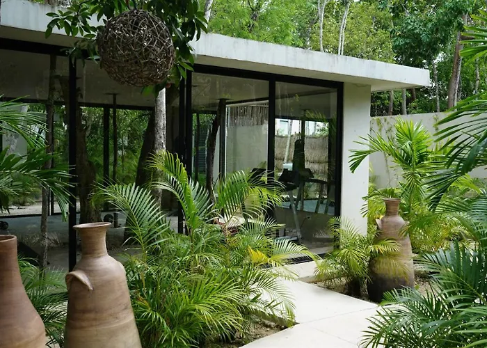 Pools Privadas Rooftop Selva