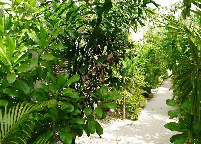 Pools Privadas Rooftop Selva