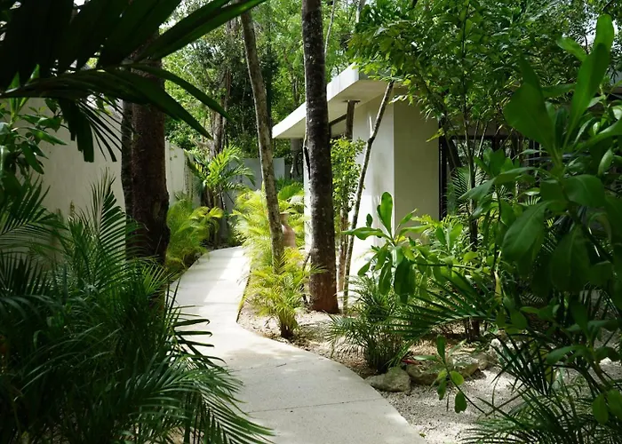 Pools Privadas Rooftop Selva Tulum