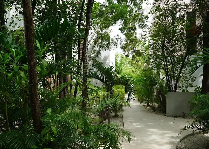 Pousada Pools Privadas Rooftop Selva Tulum