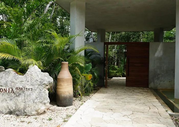 Pools Privadas Rooftop Selva * Tulum