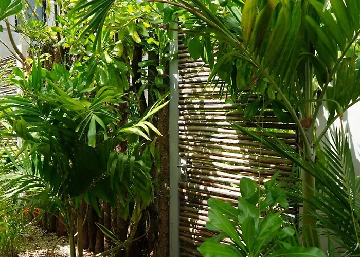 Pousada Pools Privadas Rooftop Selva Tulum